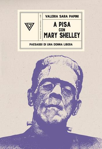 A Pisa con Mary Shelley. Paesaggi di una donna libera - Valeria Sara Papini - Libro Perrone 2026, Passaggi di dogana | Libraccio.it