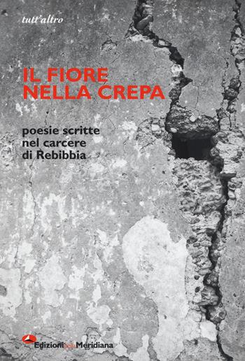 Il fiore nella crepa. Poesie scritte nel carcere di Rebibbia  - Libro Edizioni della Meridiana 2018, Tutt'altro. Poesia | Libraccio.it