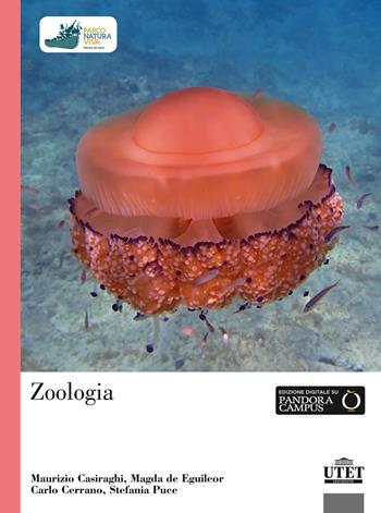 Zoologia - Maurizio Casiraghi, Magda De Eguileor, Carlo Cerrano - Libro UTET Università 2018 | Libraccio.it