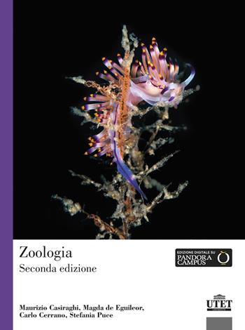 Zoologia - Maurizio Casiraghi, Magda De Eguileor, Carlo Cerrano - Libro UTET Università 2023 | Libraccio.it