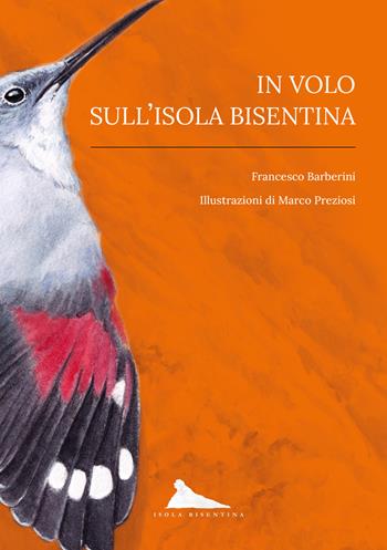In volo sull'isola Bisentina - Francesco Barberini - Libro Johan & Levi 2024, Illustrati | Libraccio.it
