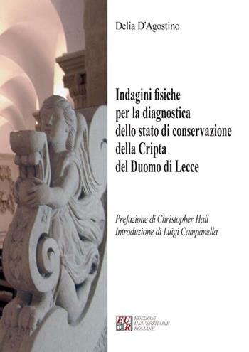 Indagini fisiche per la diagnostica dello stato di conservazione della cripta del duomo di Lecce - Delia D'Agostino - Libro Edizioni Univ. Romane 2011, Gli argonauti | Libraccio.it