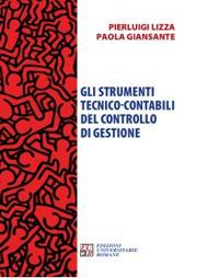 Gli strumenti tecnico-contabili del controllo di gestione - Pierluigi Lizza, Paola Giansante - Libro Edizioni Univ. Romane 2019, Territori multipli | Libraccio.it