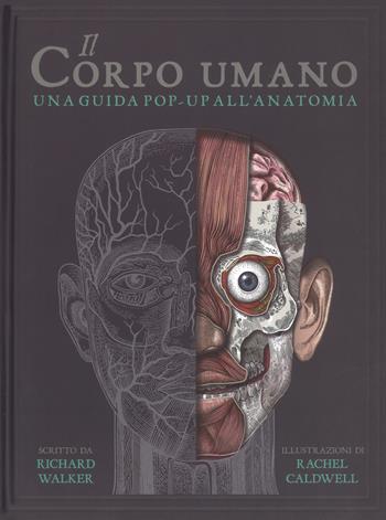 Il corpo umano. Una guida pop-up all'anatomia - Richard Walker - Libro IdeeAli 2018, Libri pop up | Libraccio.it