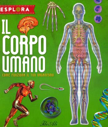 Il corpo umano. Come funziona il tuo organismo. Esplora. Ediz. a spirale. Con Adesivi. Con Poster - Jorge Montoro - Libro IdeeAli 2019, Libri interattivi | Libraccio.it