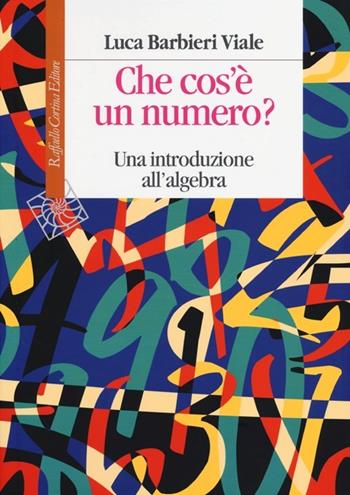 Che cos'è un numero. Un'introduzione all'algebra - Luca Barbieri Viale - Libro Raffaello Cortina Editore 2013, Manuali | Libraccio.it