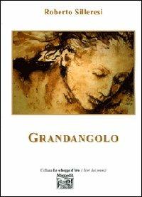 Grandangolo - Roberto Silleresi - Libro Montedit 2007, Le schegge d'oro (i libri dei premi) | Libraccio.it