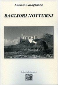 Bagliori notturni - Antonia Casagrande - Libro Montedit 2009, I salici | Libraccio.it