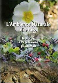 L' ambiente naturale di Prato. Le rocce, la vegetazione, gli animali  - Libro Masso delle Fate 2010 | Libraccio.it