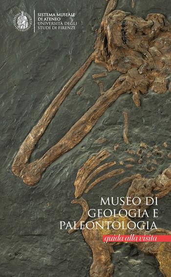 Museo di geologia e palentologia. Guida alla visita - Elisabetta Cioppi, Stefano Dominici, Luca Bellucci - Libro Masso delle Fate 2022 | Libraccio.it