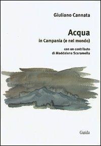 Acqua in Campania (e nel mondo) - Giuliano Cannata - Libro Guida 2009, Sinestesie | Libraccio.it