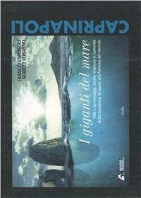 I giganti del mare - Franco Esposito, Marco Lobasso - Libro Guida 2010 | Libraccio.it