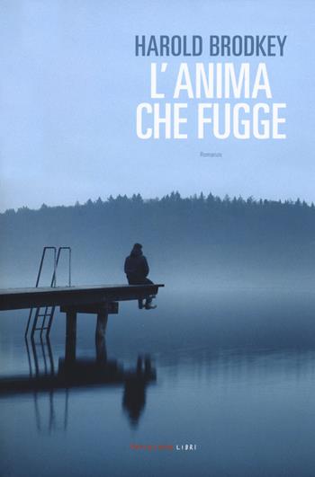 L' anima che fugge - Harold Brodkey - Libro Fandango Libri 2018 | Libraccio.it