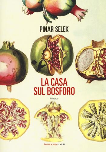 La casa sul Bosforo - Pinar Selek - Libro Fandango Libri 2020 | Libraccio.it
