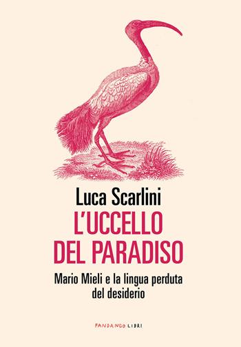 L' uccello del paradiso. Mario Mieli e la lingua perduta del desiderio - Luca Scarlini - Libro Fandango Libri 2020 | Libraccio.it