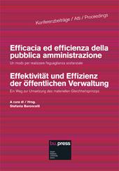 Efficacia ed efficienza della pubblica amministrazione. Un modo per realizzare l'eguaglianza sostanziale