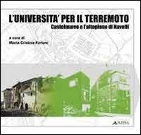 L' Università per il terremoto. Castelnuovo e l'altopiano di Navelli  - Libro Alinea 2009, Recupero edilizio. Centri storici minori | Libraccio.it