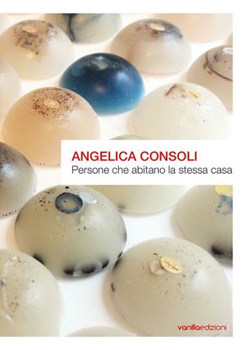 Angelica Consoli. Persone che abitano la stessa casa. Ediz. illustrata  - Libro Vanillaedizioni 2016 | Libraccio.it