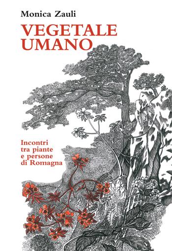 Vegetale umano. Incontri tra piante e persone di Romagna. Ediz. illustrata - Monica Zauli - Libro Polaris 2024, Libri illustrati | Libraccio.it