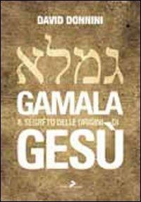 Gamala. Il segreto delle origini di Gesù - David Donnini - Libro Coniglio Editore 2010, Maxima amoralia | Libraccio.it