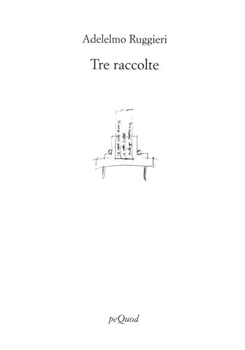 Tre raccolte - Adelelmo Ruggieri - Libro Pequod 2020, Rive | Libraccio.it