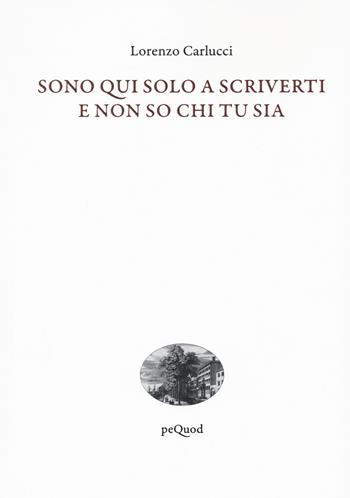 Sono qui solo a scriverti e non so chi tu sia - Lorenzo Carlucci - Libro Pequod 2021, Quai de boompjes | Libraccio.it