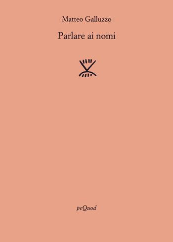 Parlare ai nomi - Matteo Galluzzo - Libro Pequod 2023, Rive | Libraccio.it