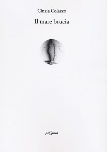 Il mare brucia - Cinzia Colazzo - Libro Pequod 2023, Rive | Libraccio.it