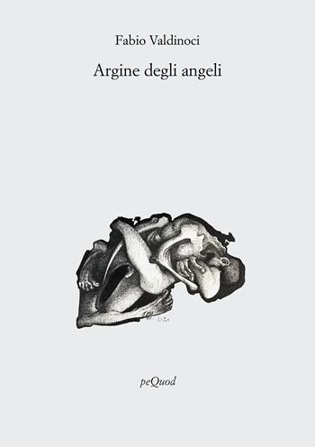 Argine degli angeli - Fabio Valdinoci - Libro Pequod 2025, Rive | Libraccio.it