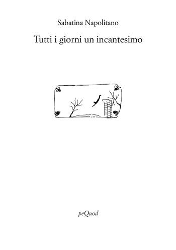 Tutti i giorni un incantesimo - Sabatina Napolitano - Libro Pequod 2026, Rive | Libraccio.it