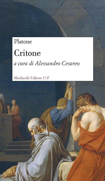 Critone - Paltone - Libro Morlacchi 2015 | Libraccio.it