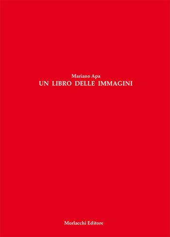 Un libro delle immagini - Mariano Apa - Libro Morlacchi 2017 | Libraccio.it