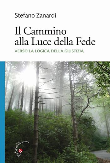 Il Cammino alla Luce della Fede. Verso la logica della Giustizia - Stefano Zanardi - Libro Gabrielli Editori 2013 | Libraccio.it