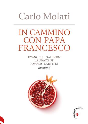 In cammino con papa Francesco. Evangelii Gaudium, Laudato si', Amoris laetitia. Commenti - Carlo Molari - Libro Gabrielli Editori 2025 | Libraccio.it