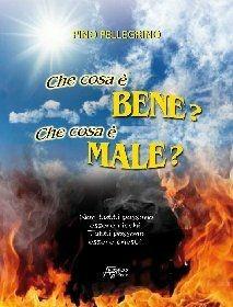 Che cosa è bene? Che cosa è male? Non tutti possono essere ricchi. Tutti possono essere onesti - Pino Pellegrino - Libro Astegiano Editore 2011 | Libraccio.it