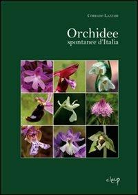 Orchidee spontanee d'Italia. Ediz. illustrata - Corrado Lazzari - Libro CLEUP 2010, Scienze matematiche, fisiche e naturali | Libraccio.it