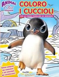 Animali club. Coloro i cuccioli. Ediz. illustrata  - Libro Doremì Junior 2017 | Libraccio.it