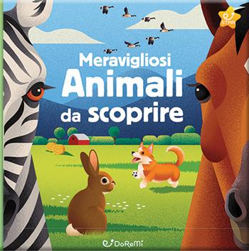 Meravigliosi animali da scoprire. Animal world. Ediz. a colori  - Libro Doremì Junior 2023, Star | Libraccio.it