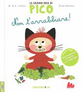 Non t'arrabbiare! Le grandi idee di Pico. Vol. 2