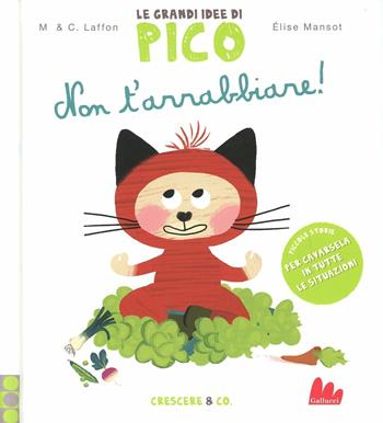 Non t'arrabbiare! Le grandi idee di Pico. Vol. 2 - Martine Laffon, Caroline Laffon - Libro Gallucci 2012, Illustrati | Libraccio.it