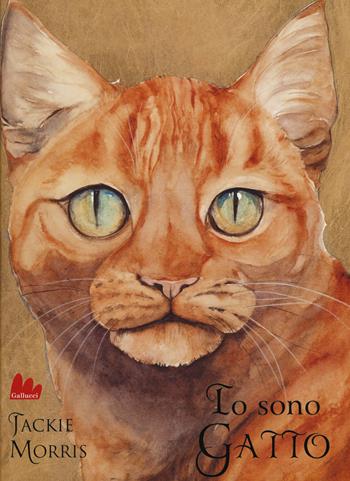 Io sono gatto. Ediz. illustrata - Jackie Morris - Libro Gallucci 2015, Illustrati | Libraccio.it