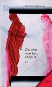 Ciò che non lava l'acqua. Ediz. illustrata - Bruno Tognolini - Libro Gallucci 2016, Alta definizione | Libraccio.it