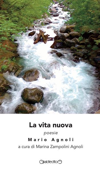 La vita nuova - Mario Agnoli - Libro Giraldi Editore 2021, Poesia | Libraccio.it