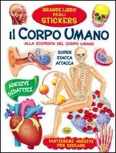 Il corpo umano. Alla scoperta del corpo umano. Con adesivi. Ediz. a colori