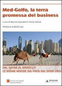 Med-Golfo, la terra promessa del business. Dal Qatar al Marocco le buone notizie dai paesi del dopo crisi  - Libro Mondadori Università 2010, Saggi | Libraccio.it
