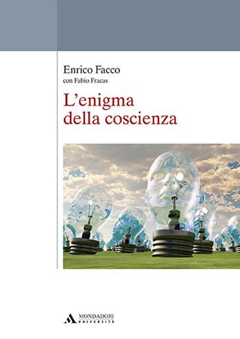 L'enigma della coscienza - Enrico Facco, Fabio Fracas - Libro Mondadori Università 2018, Università | Libraccio.it