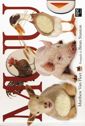 Muu - Matthew Van Fleet, Brian Stanton - Libro Ape Junior 2015, Libri gioco | Libraccio.it