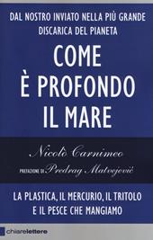 Come è profondo il mare. La plastica, il mercurio, il tritolo e il pesce che mangiamo