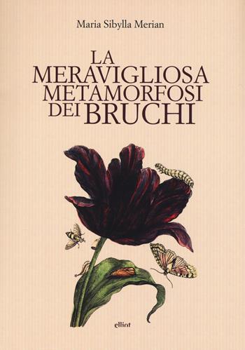 La meravigliosa metamorfosi dei bruchi - M. Sibylla Merian - Libro Elliot 2015 | Libraccio.it