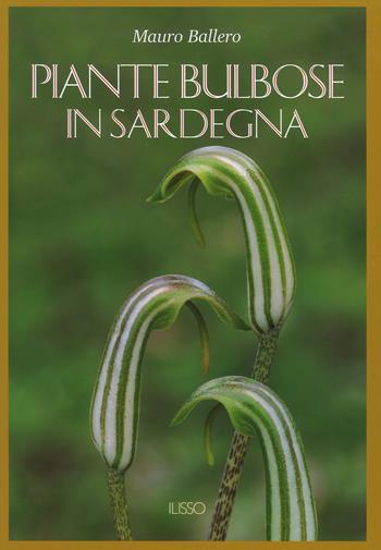 Piante bulbose in Sardegna. Ediz. a colori - Mauro Ballero - Libro Ilisso 2019 | Libraccio.it